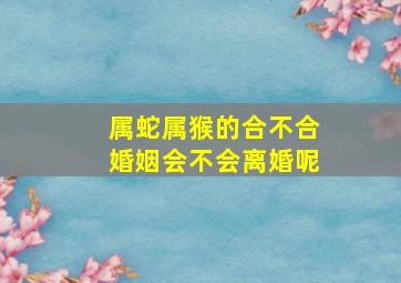 属蛇属猴的合不合婚姻会不会离婚呢