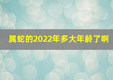 属蛇的2022年多大年龄了啊