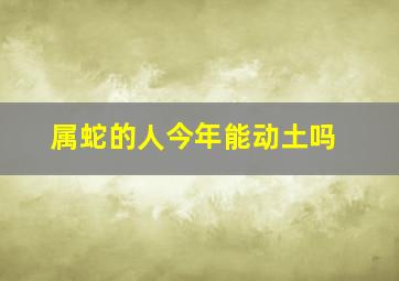 属蛇的人今年能动土吗