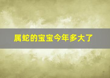 属蛇的宝宝今年多大了