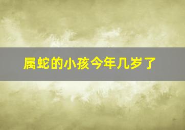 属蛇的小孩今年几岁了