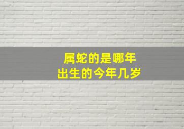 属蛇的是哪年出生的今年几岁