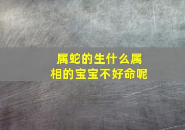 属蛇的生什么属相的宝宝不好命呢