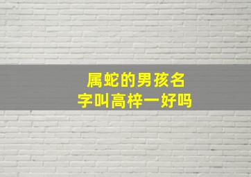 属蛇的男孩名字叫高梓一好吗