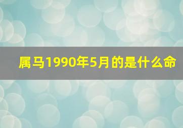 属马1990年5月的是什么命