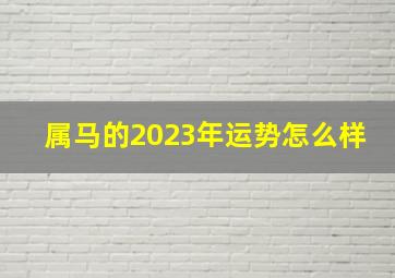 属马的2023年运势怎么样