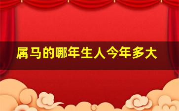 属马的哪年生人今年多大