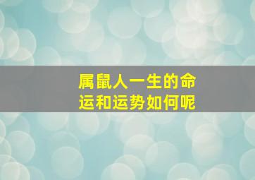 属鼠人一生的命运和运势如何呢