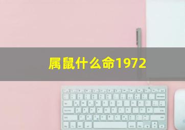 属鼠什么命1972