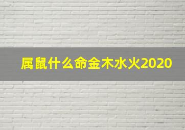 属鼠什么命金木水火2020