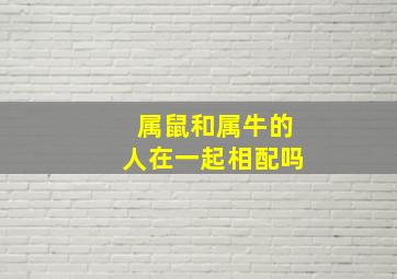 属鼠和属牛的人在一起相配吗