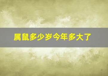 属鼠多少岁今年多大了