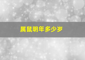 属鼠明年多少岁