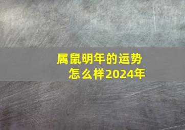 属鼠明年的运势怎么样2024年