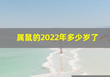 属鼠的2022年多少岁了