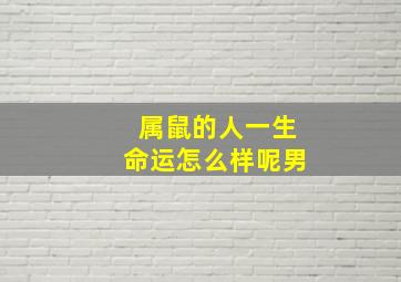 属鼠的人一生命运怎么样呢男