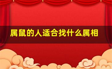 属鼠的人适合找什么属相