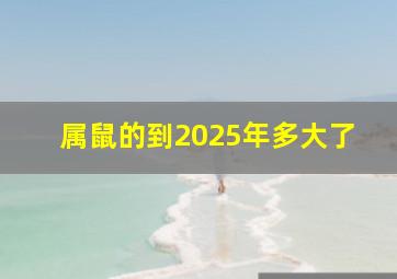 属鼠的到2025年多大了