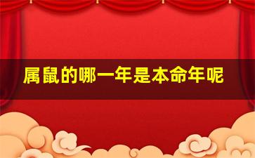 属鼠的哪一年是本命年呢