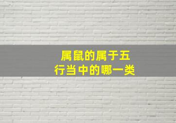 属鼠的属于五行当中的哪一类