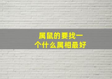 属鼠的要找一个什么属相最好