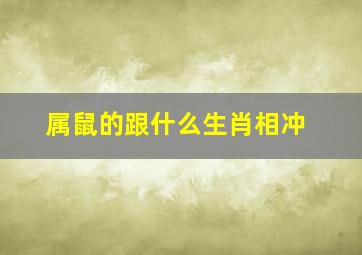 属鼠的跟什么生肖相冲