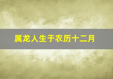 属龙人生于农历十二月