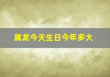 属龙今天生日今年多大