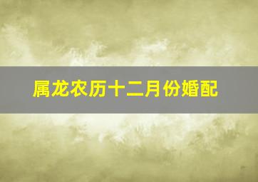 属龙农历十二月份婚配