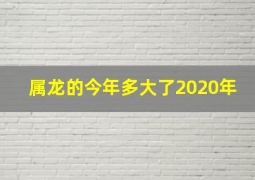 属龙的今年多大了2020年