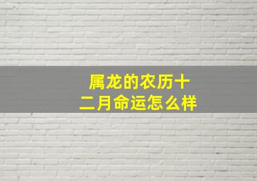 属龙的农历十二月命运怎么样