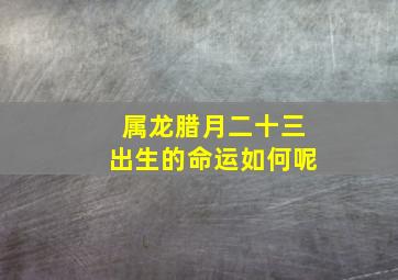 属龙腊月二十三出生的命运如何呢