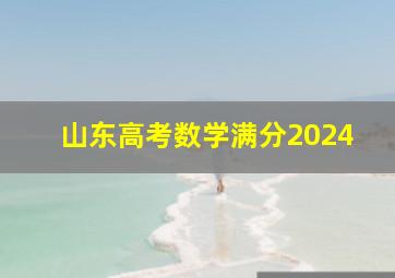 山东高考数学满分2024