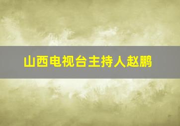 山西电视台主持人赵鹏