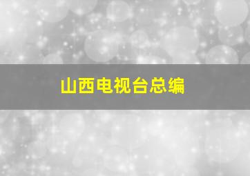 山西电视台总编