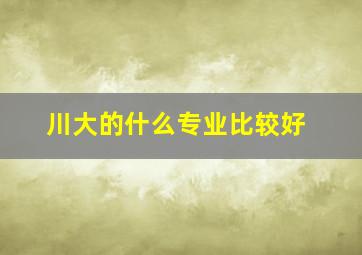 川大的什么专业比较好