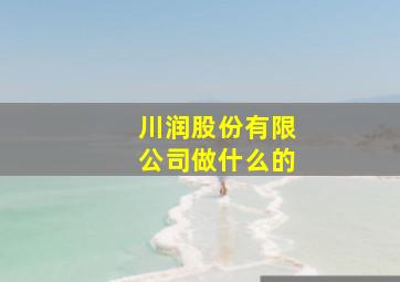 川润股份有限公司做什么的