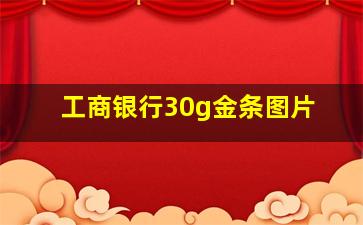 工商银行30g金条图片