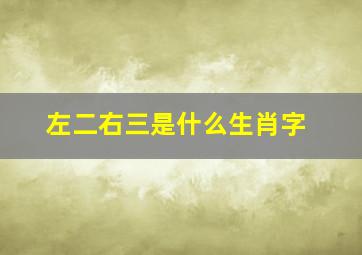 左二右三是什么生肖字