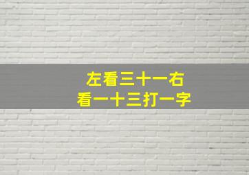 左看三十一右看一十三打一字