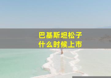 巴基斯坦松子什么时候上市