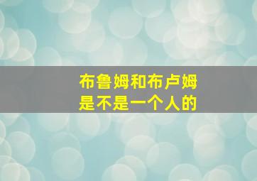 布鲁姆和布卢姆是不是一个人的