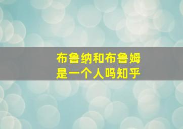 布鲁纳和布鲁姆是一个人吗知乎