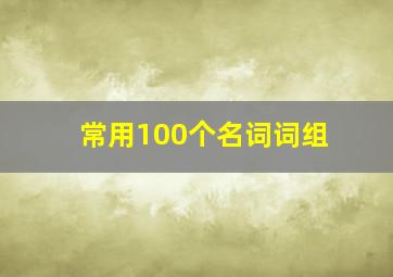 常用100个名词词组