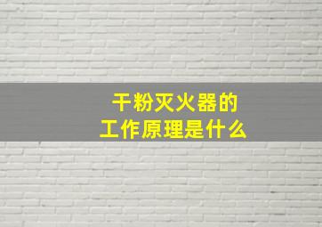 干粉灭火器的工作原理是什么