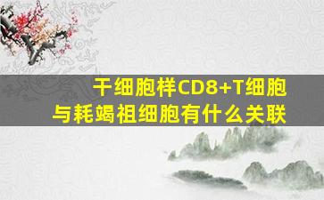 干细胞样CD8+T细胞与耗竭祖细胞有什么关联