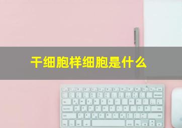 干细胞样细胞是什么