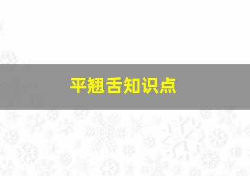 平翘舌知识点