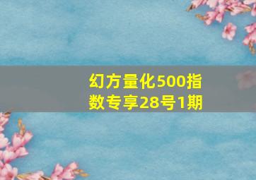 幻方量化500指数专享28号1期