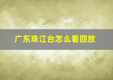 广东珠江台怎么看回放